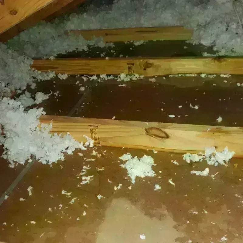 Attic Water Damage in Farmers Branch, TX